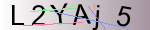 Captcha anti-spam
